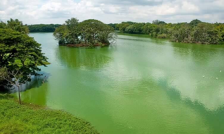 Karanji Lake 